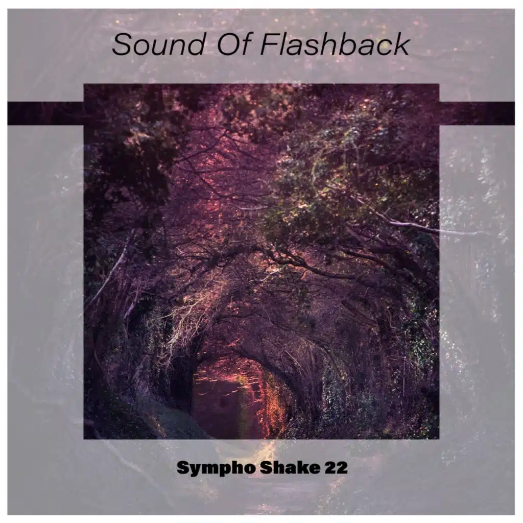 Sound Of Flashback Sympho Shake 22