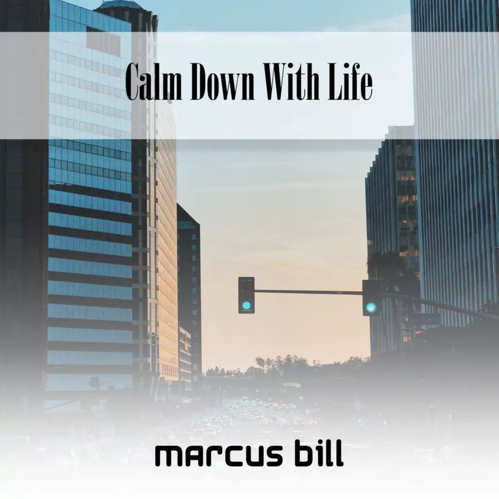 Calm Down With Life