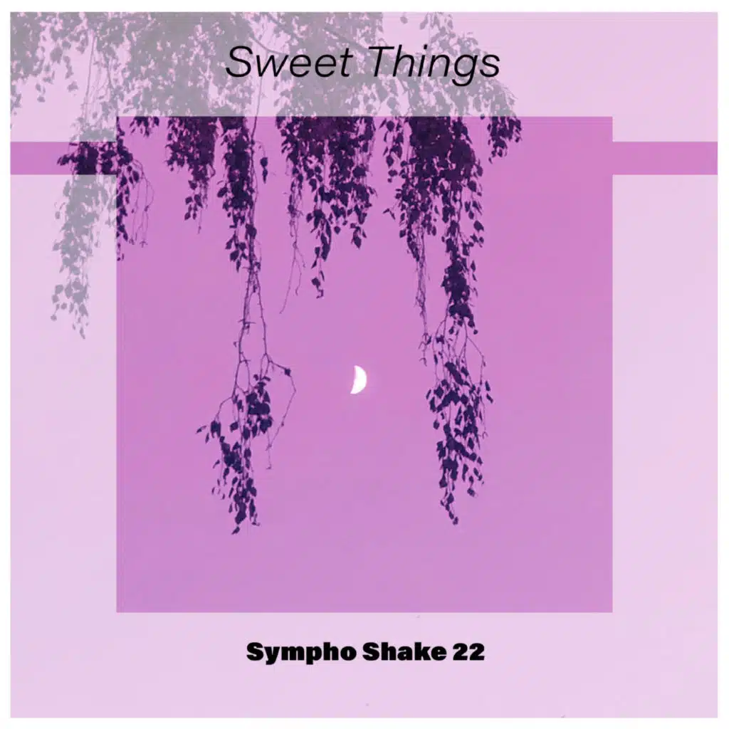 Sweet Things Sympho Shake 22