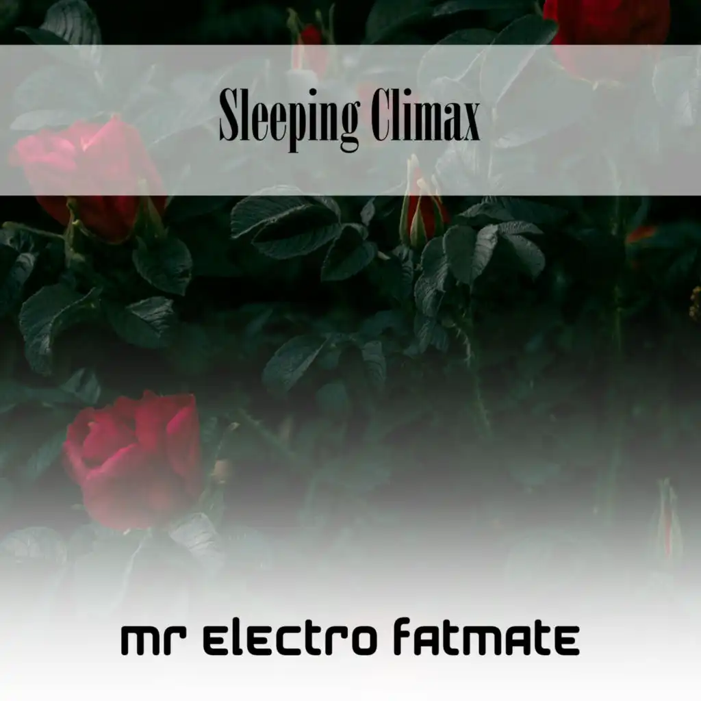 Mr Electro Fatmate