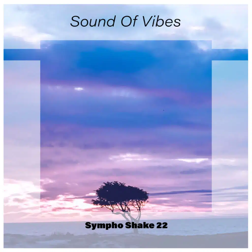 Sound Of Vibes Sympho Shake 22