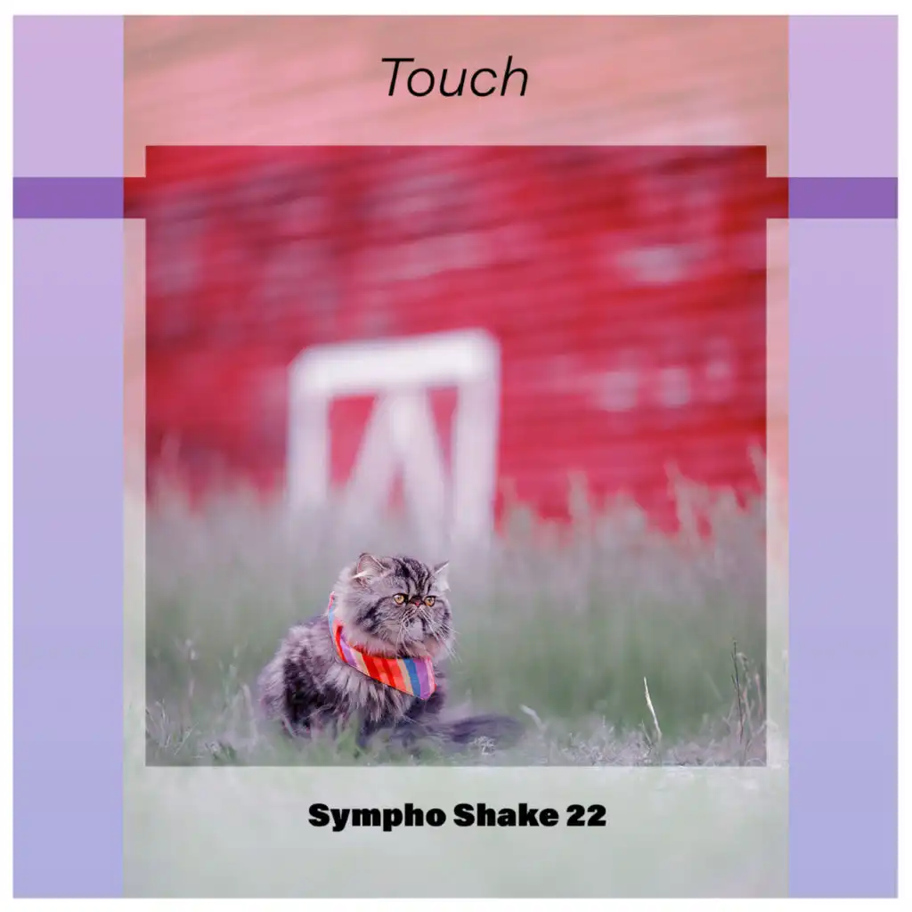 Touch Sympho Shake 22