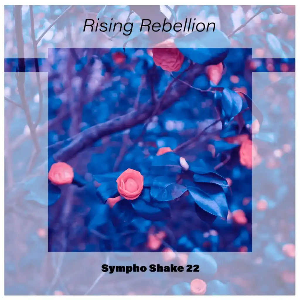 Rising Rebellion Sympho Shake 22