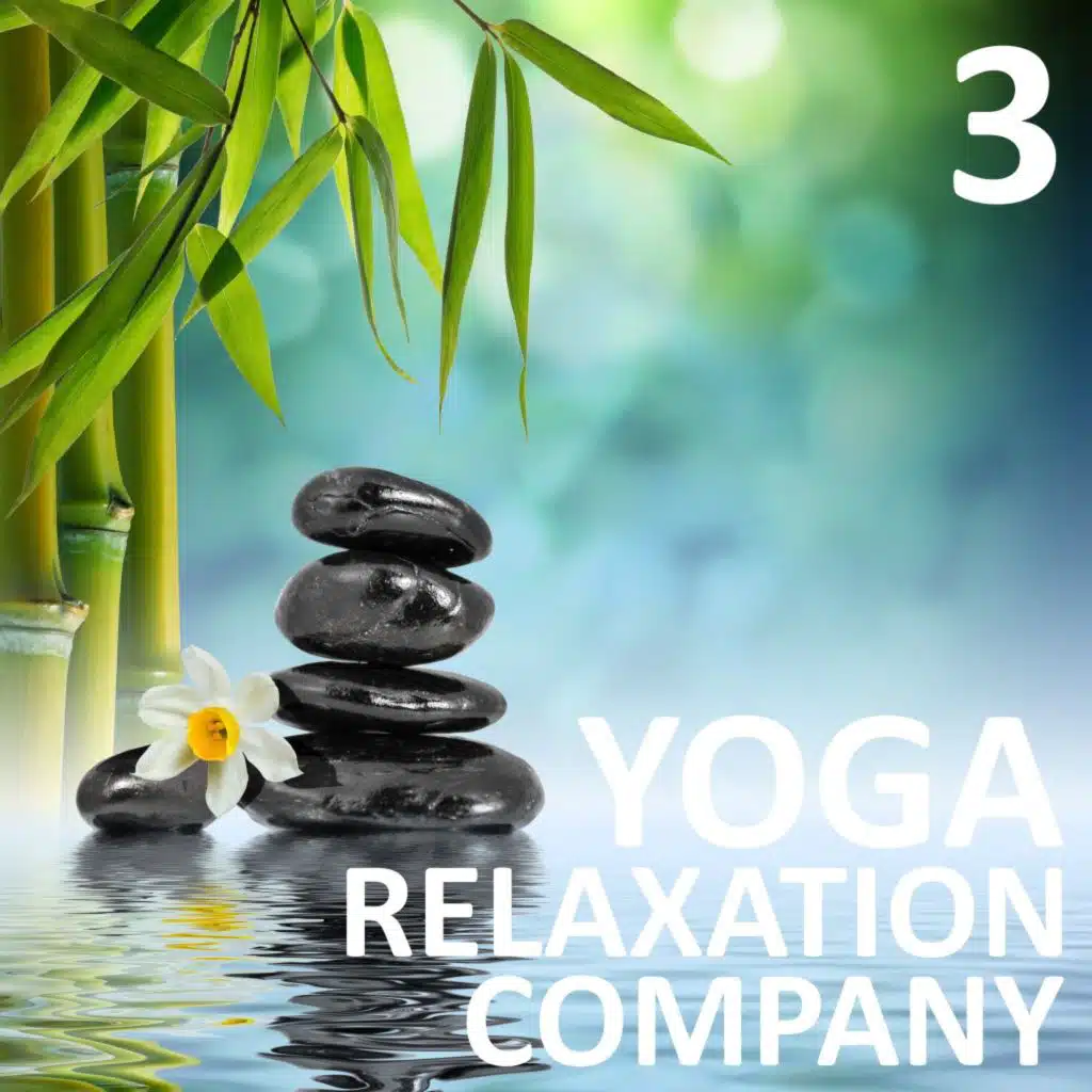 Yoga Relaxation Company, Vol. 3