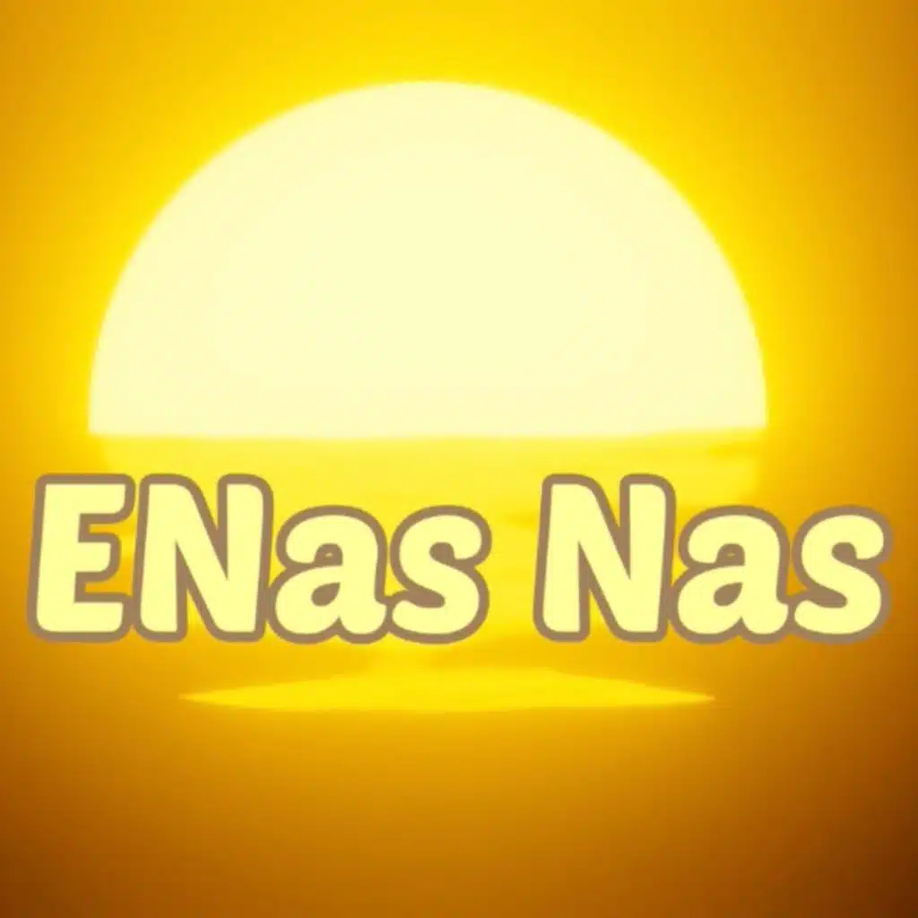 ENASI NAS