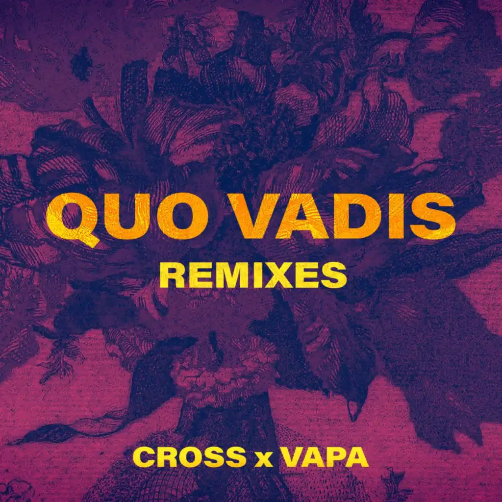 Cross VAPA