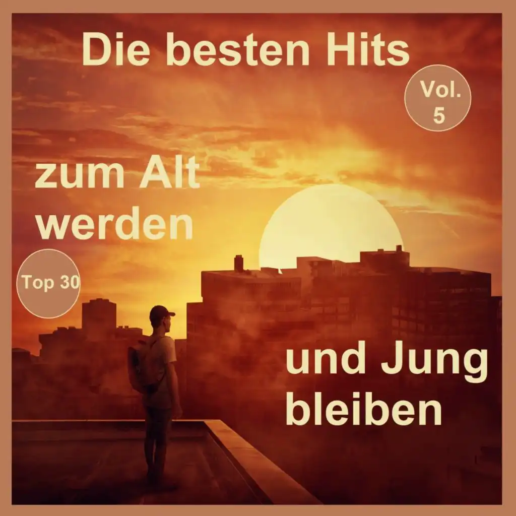 Top 30: Die besten Hits zum Alt werden und Jung bleiben, Vol. 5