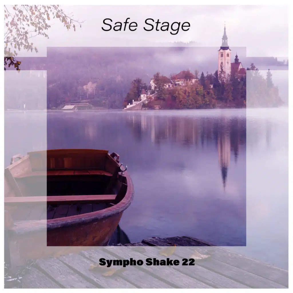 Safe Stage Sympho Shake 22