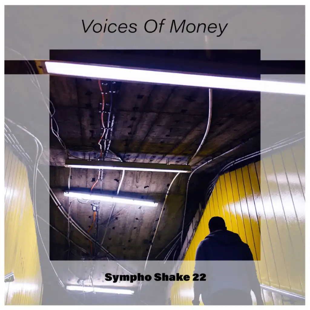 Voices Of Money Sympho Shake 22