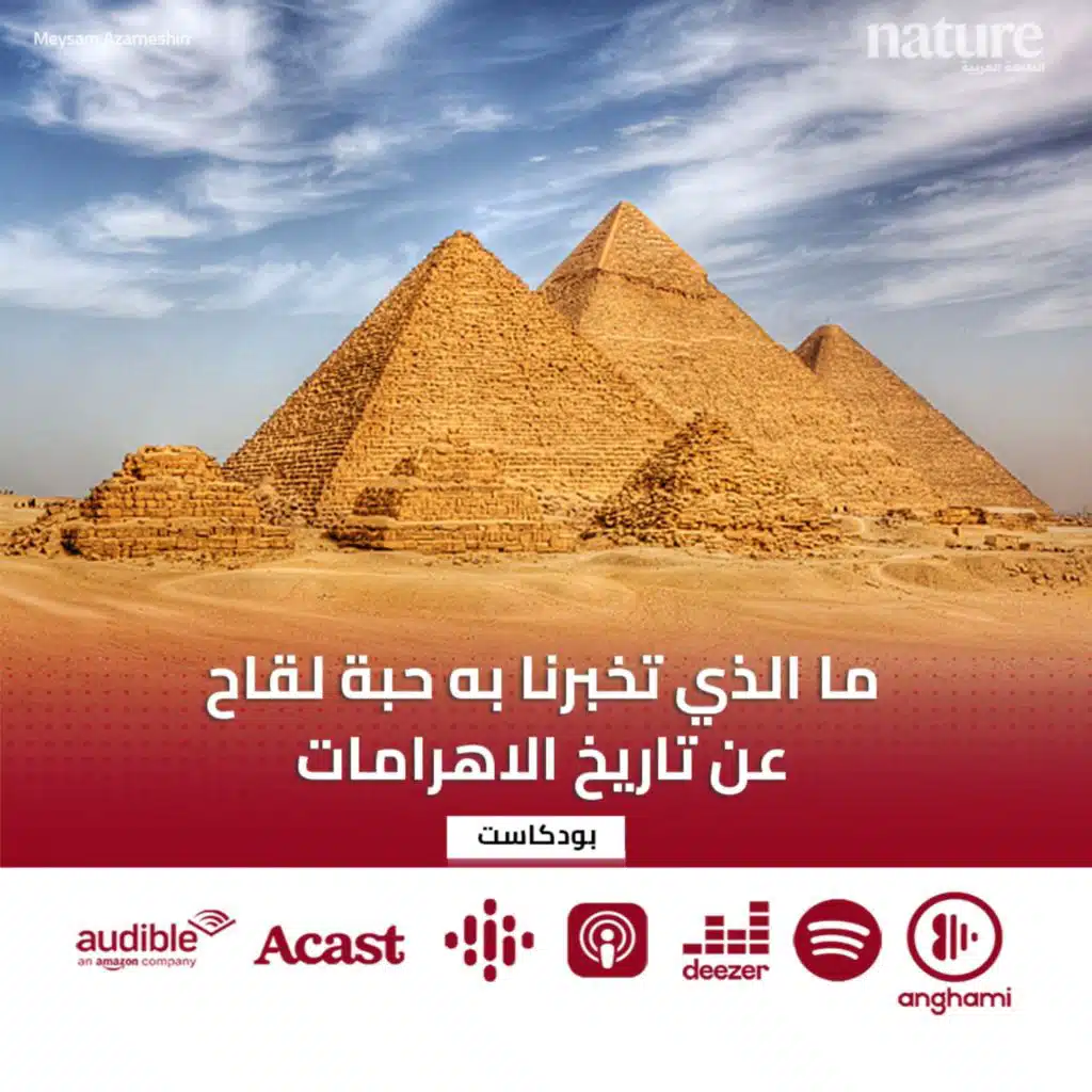 ما الذي تخبرنا به حبة لقاح عن تاريخ الأهرامات