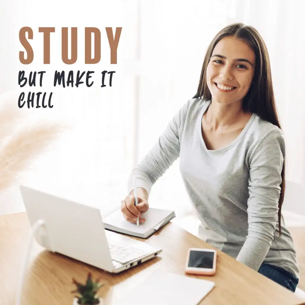 Study, but Make it Chill: Lofi Beats for Studying and not Feeling Overwhelmed