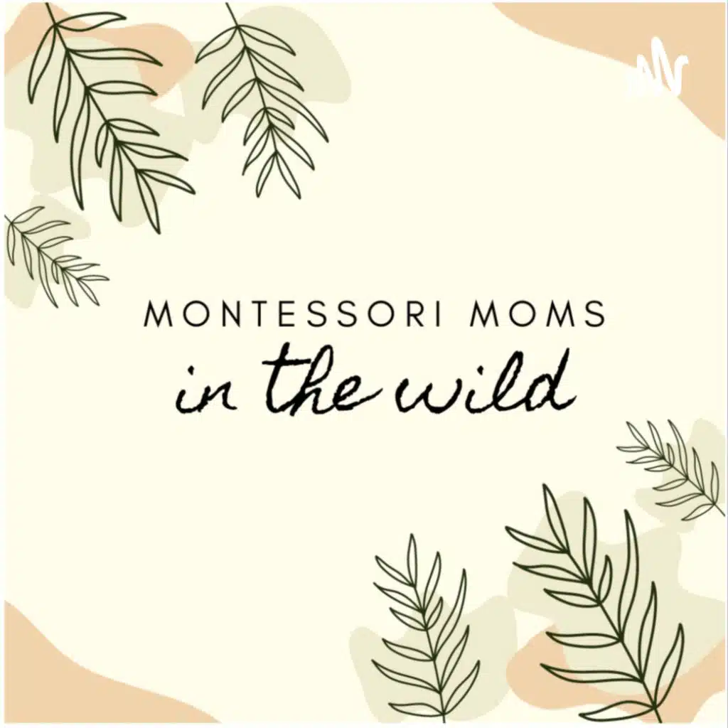 Fantasy VS Imagination: Can Montessorians Believe in Santa?