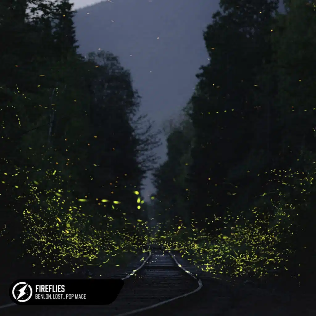 Fireflies