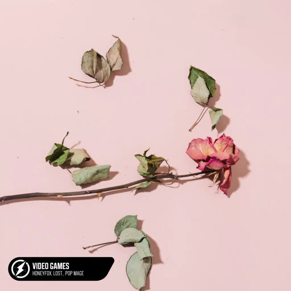 Video Games (Acoustic)