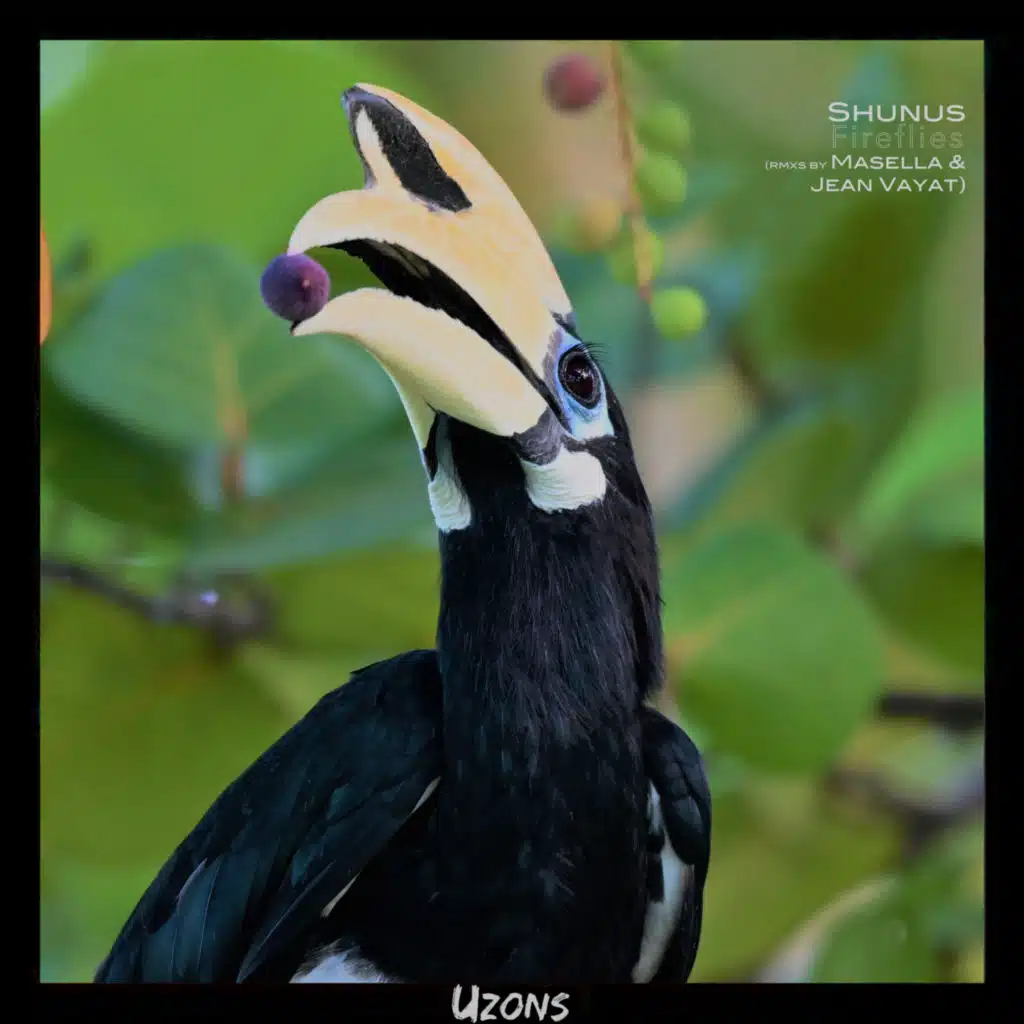 Fireflies (feat. Masella & Jean Vayat)