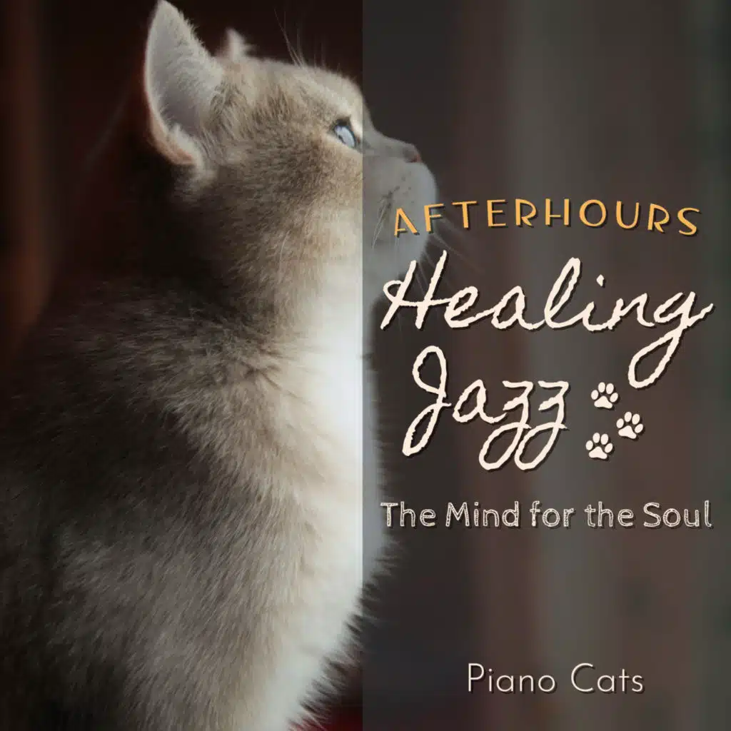 Piano Cats