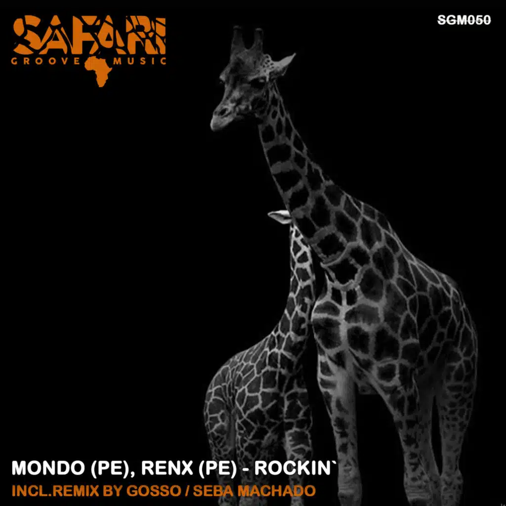 Rokin`