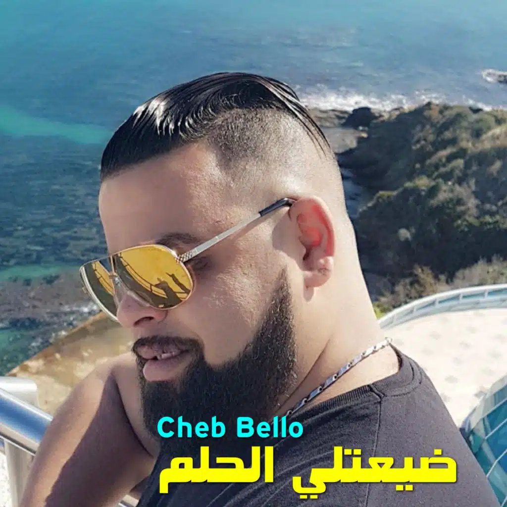 ضيعتلي الحلم