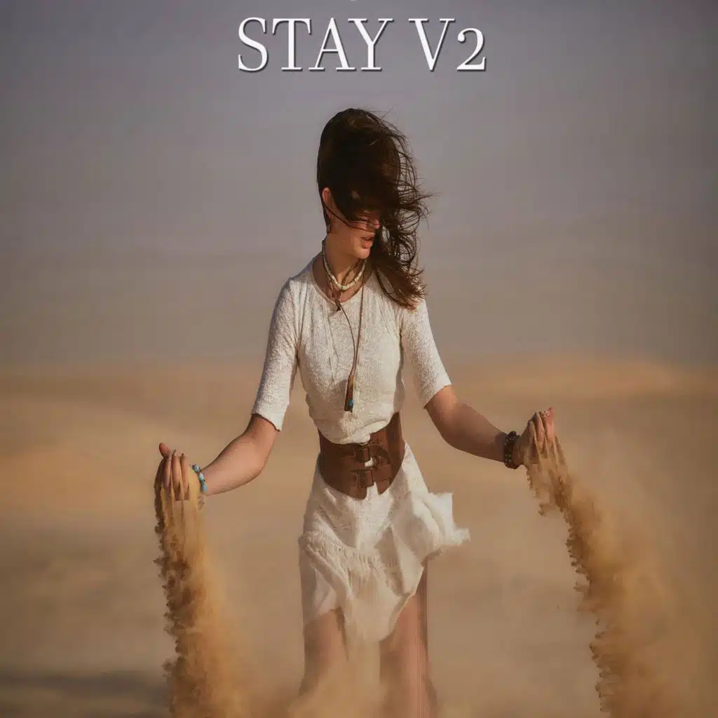 STAY V2