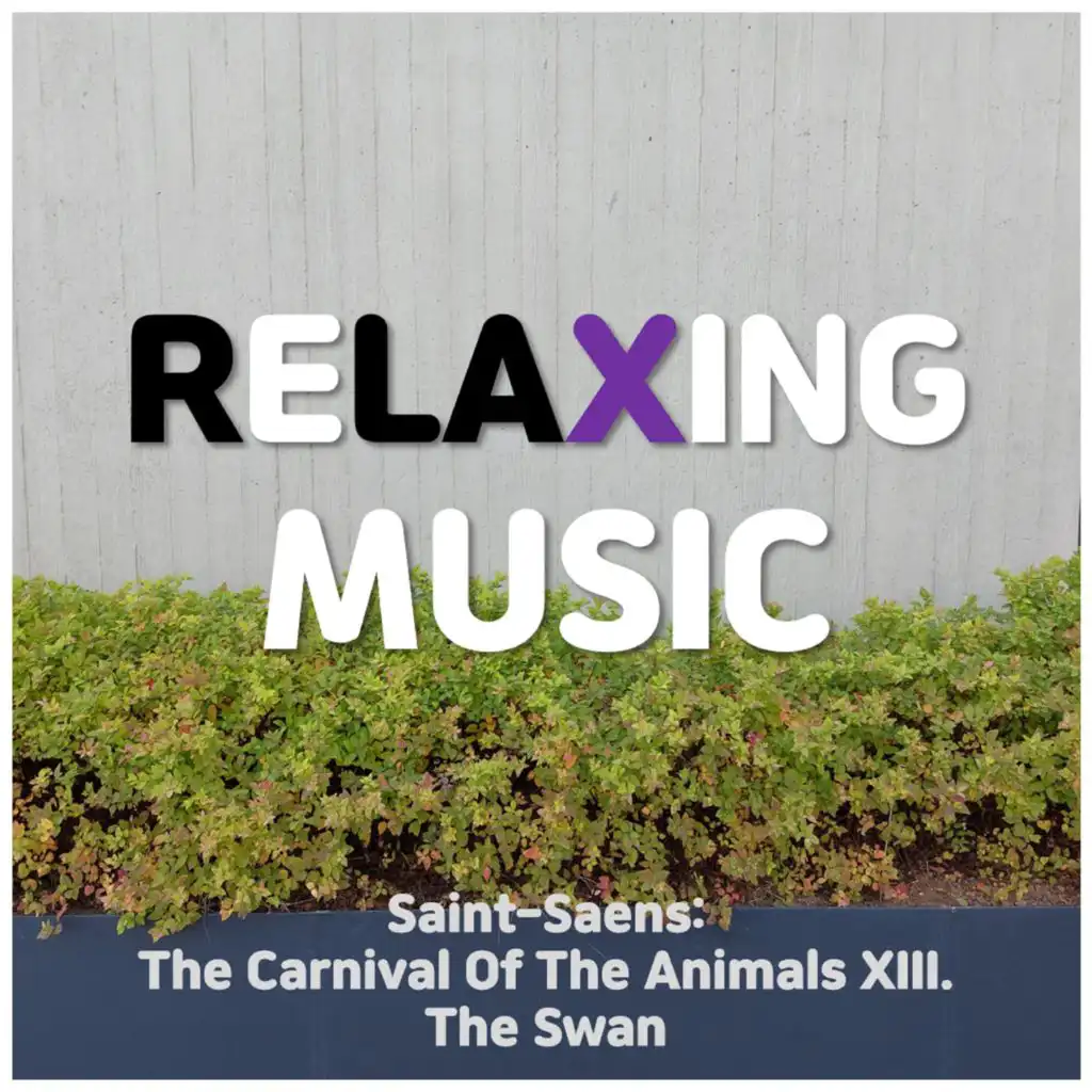 Saint-Saens The Carnival Of The Animals: XIII. The Swan