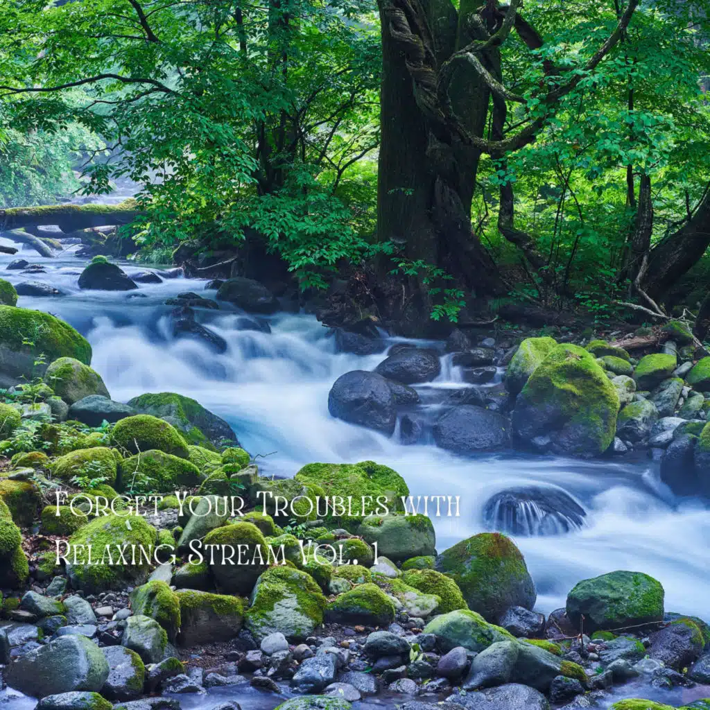 Forget Your Troubles with Relaxing Stream Vol. 1