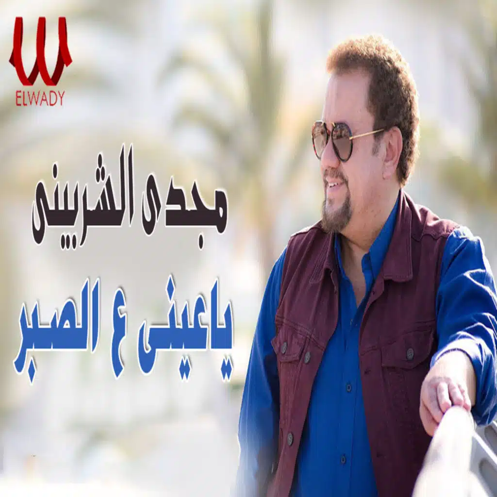 يا عيني علي الصبر (حفلة لايف)