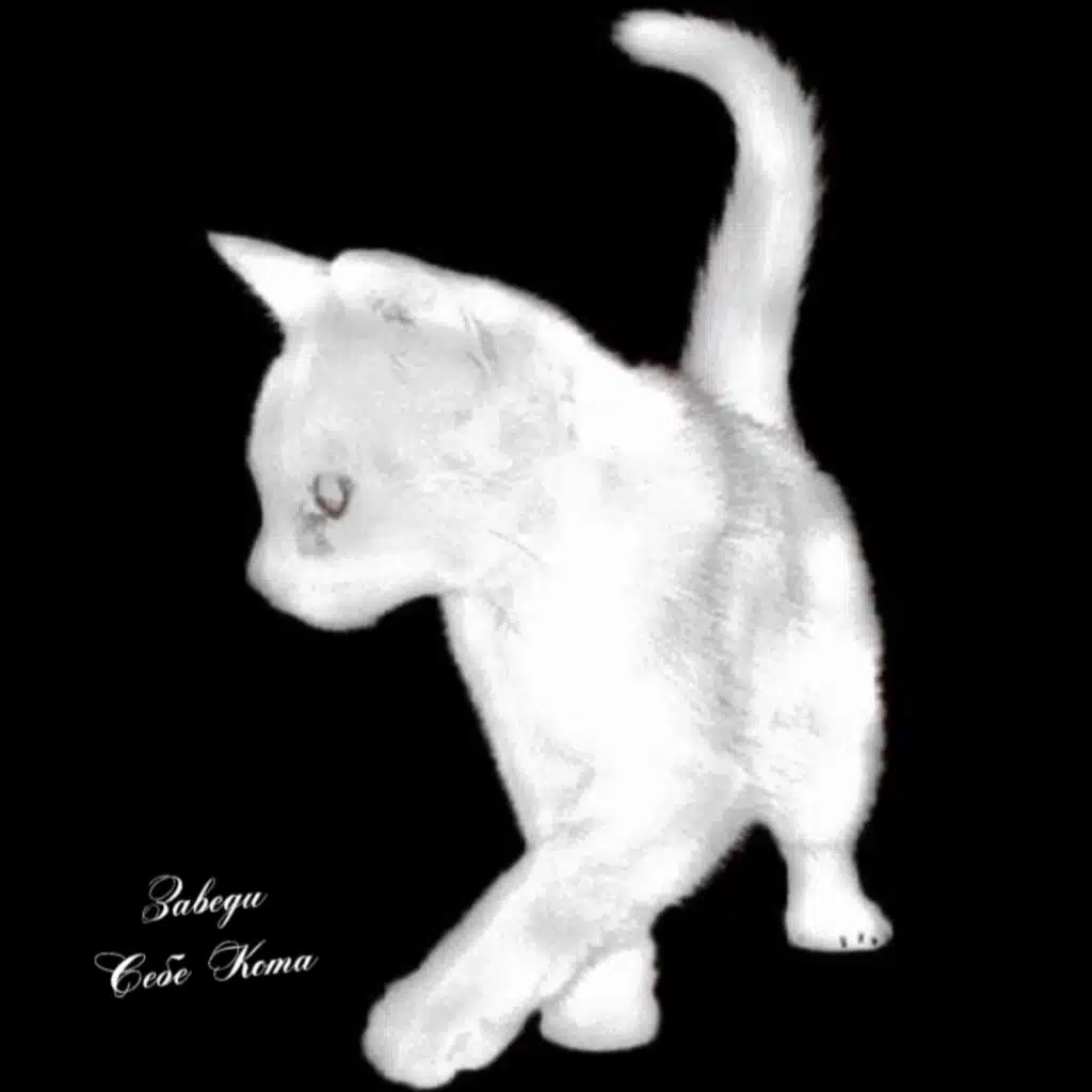 Заведи Себе Кота