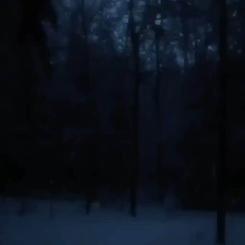 dark snowy night (Slowed & Reverb Version)