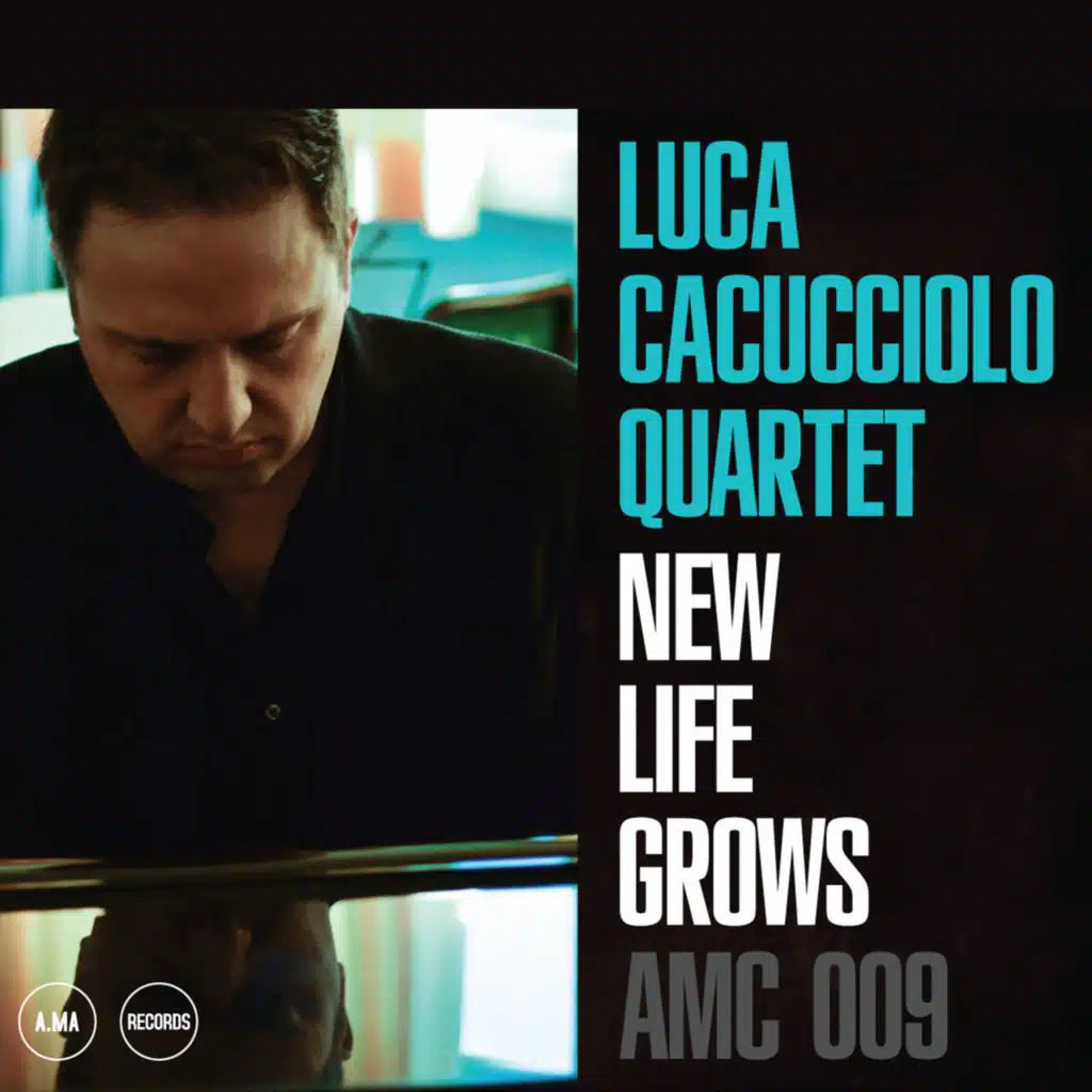 Little Kicks (feat. Francesco Bianchi, Alex Orciari & Matteo Rebulla)