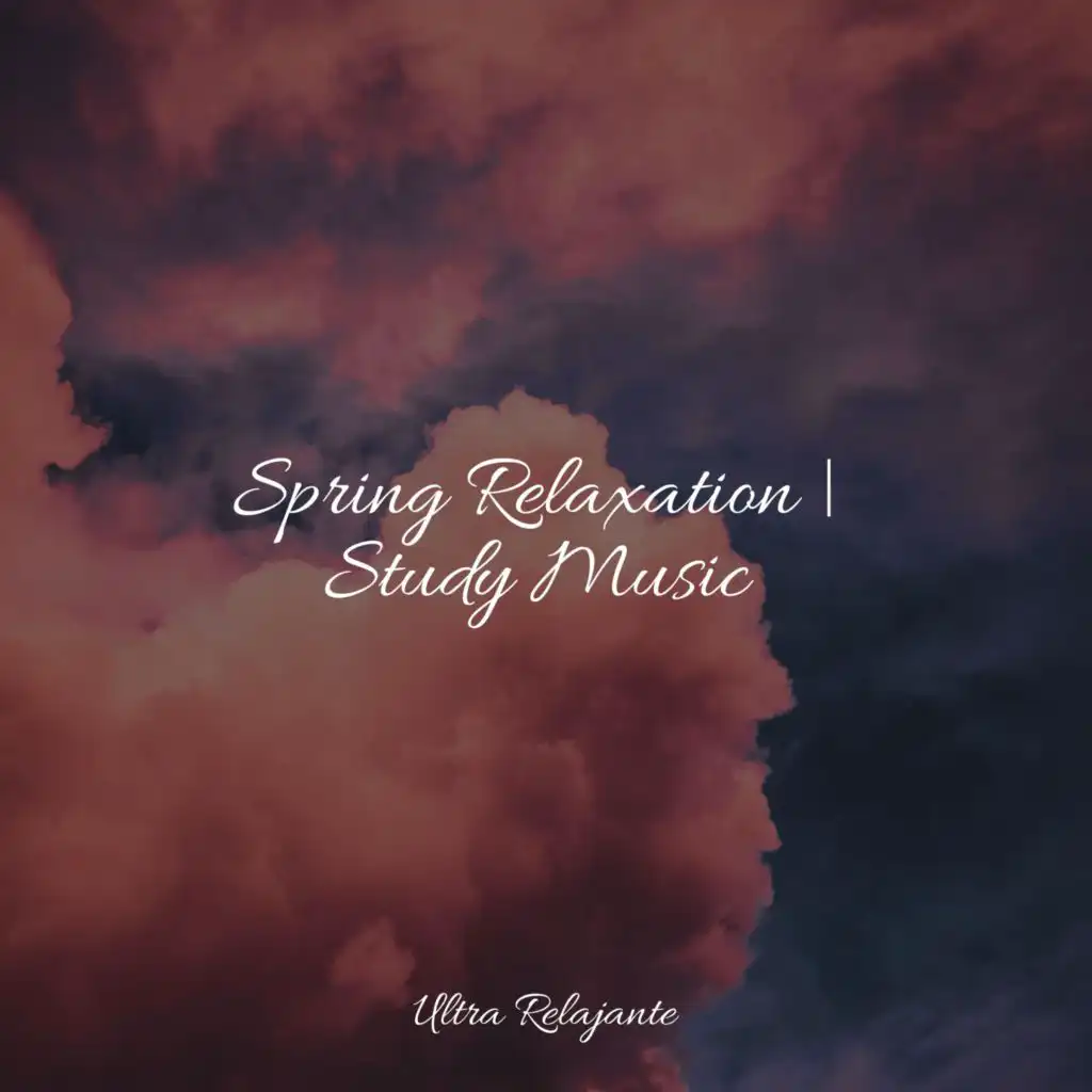 Spring Relaxation | Study Music