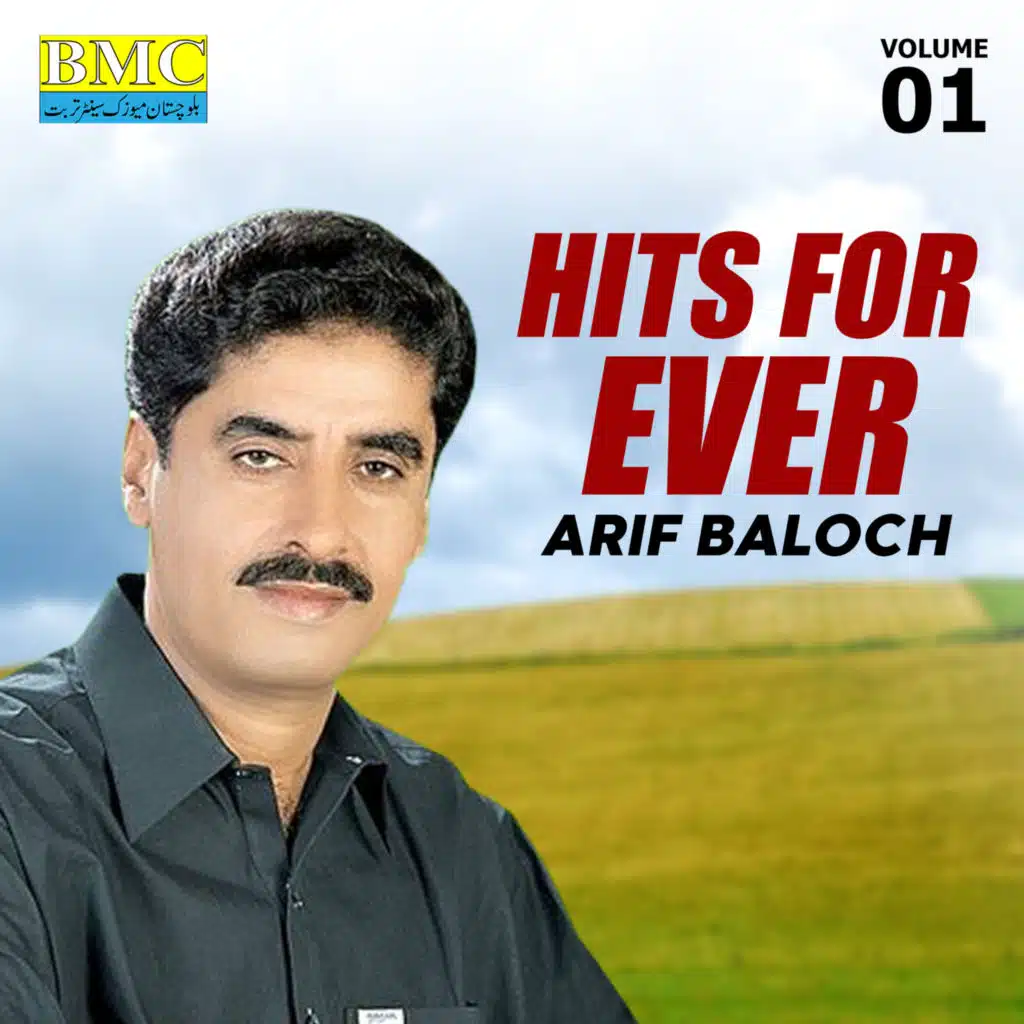 Hits for Ever, Vol. 1