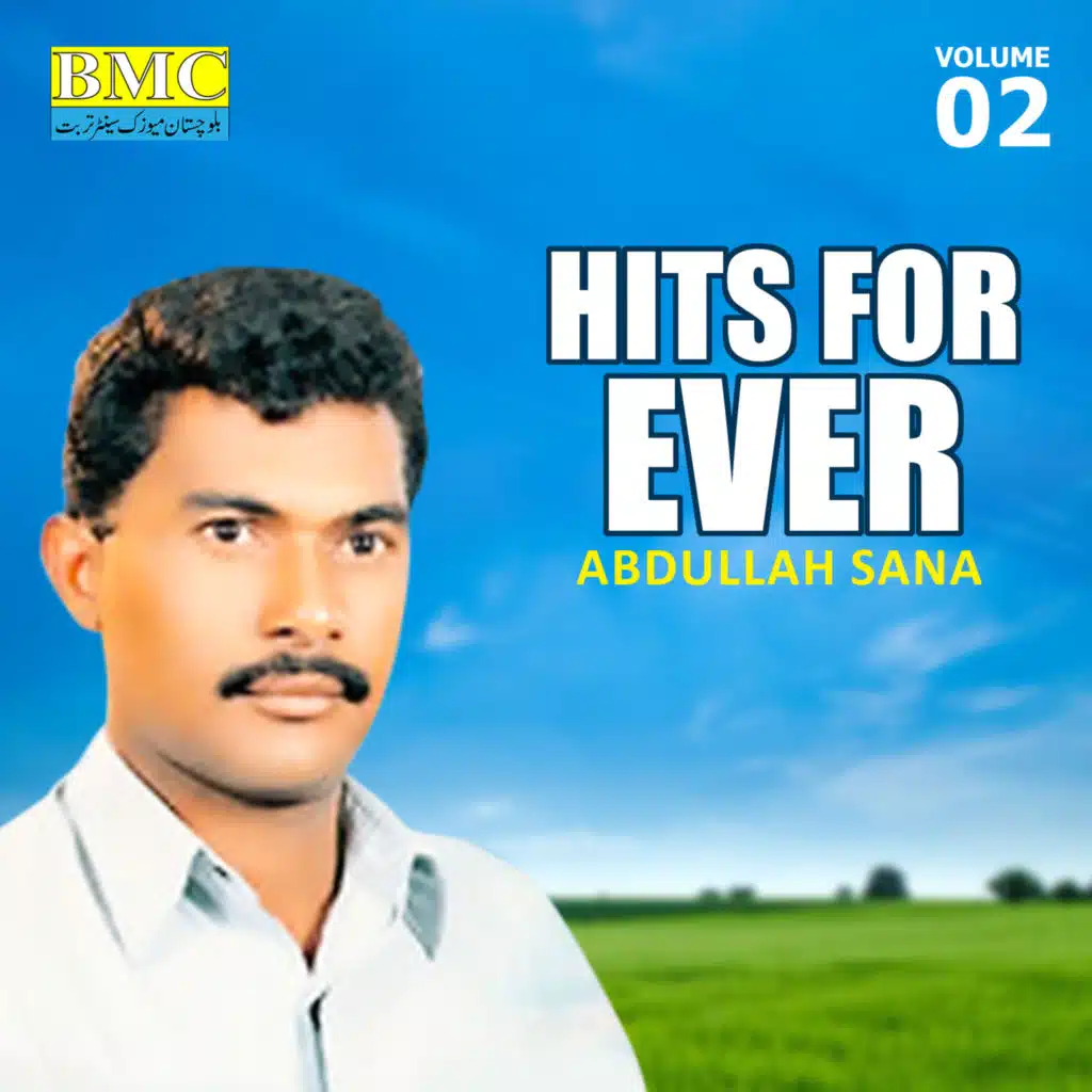 Hits for Ever, Vol. 2