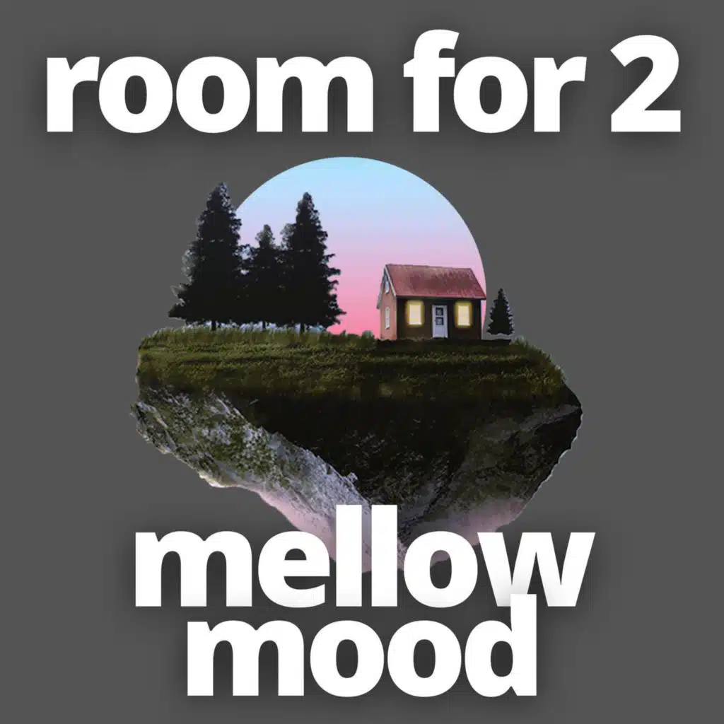 room for 2 - mellow mood