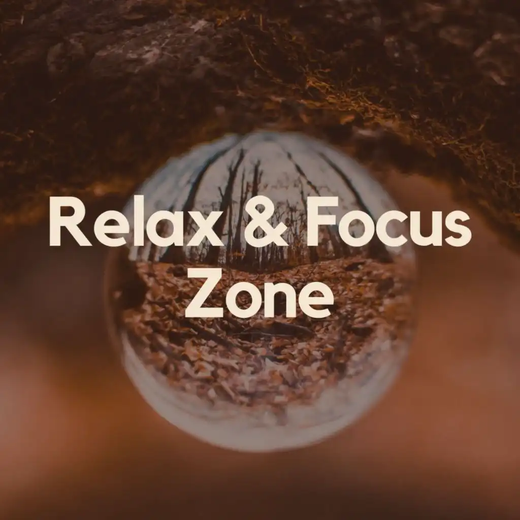 Relax and Focus Zone