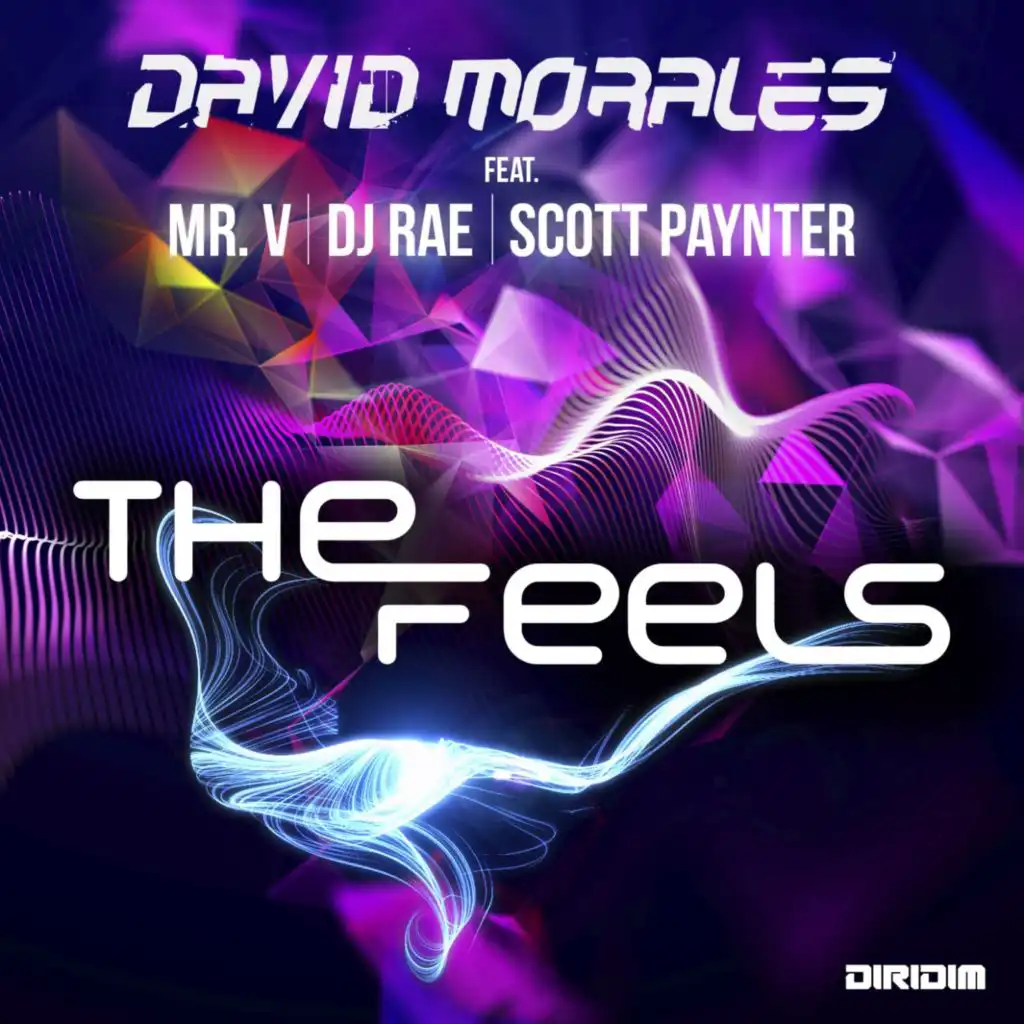 The Feels (Extended Mix)