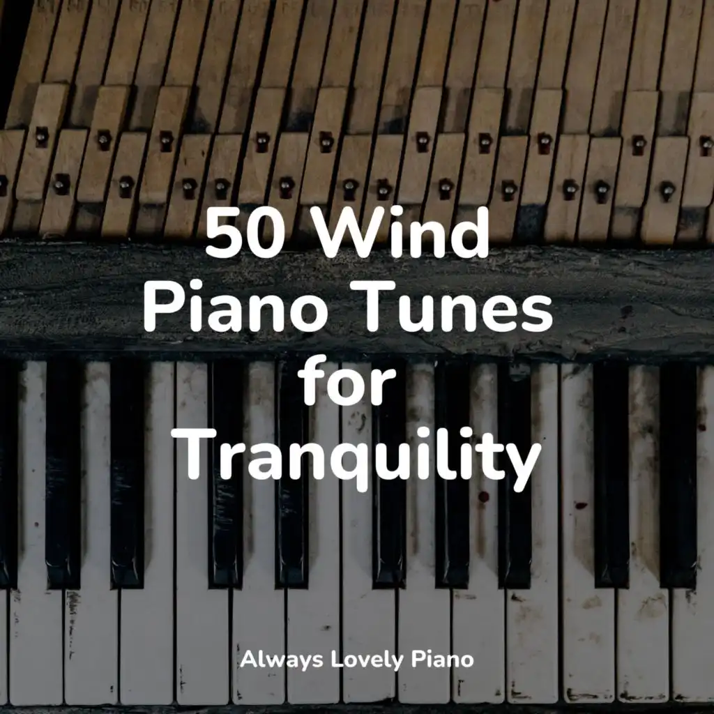 50 Wind Piano Tunes for Tranquility