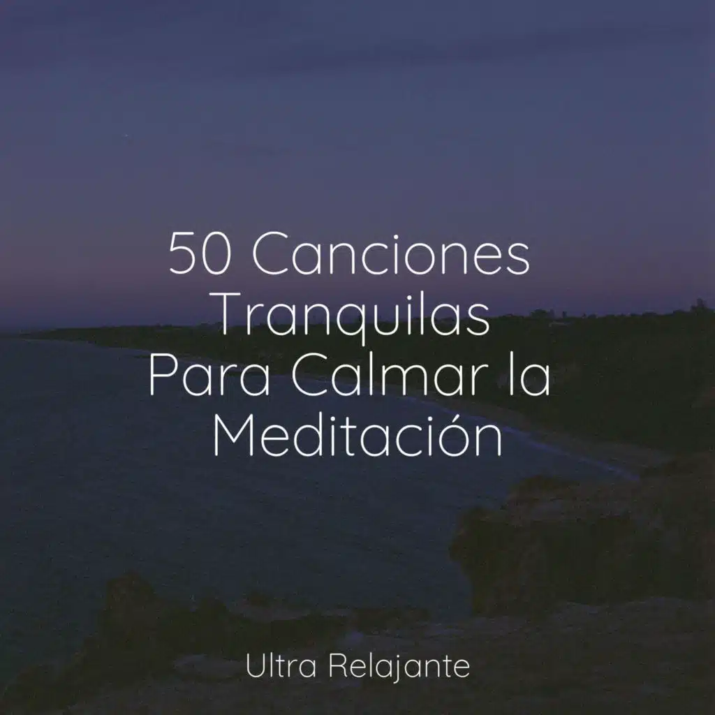 Ejercicios De Respiración