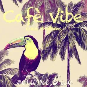 Cafe Vibe, Vol2 (Cool Rhythms)