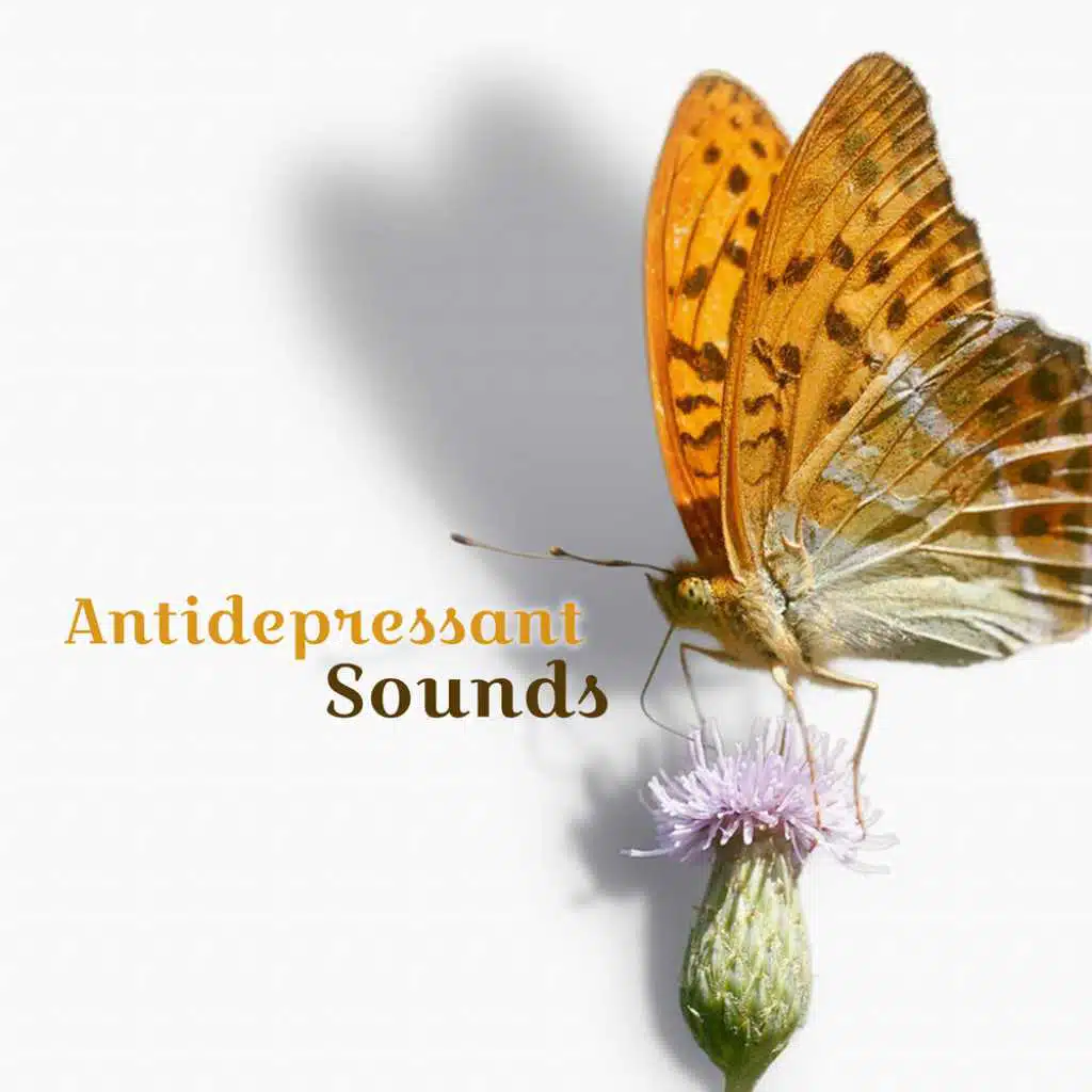 Antidepressant Sounds