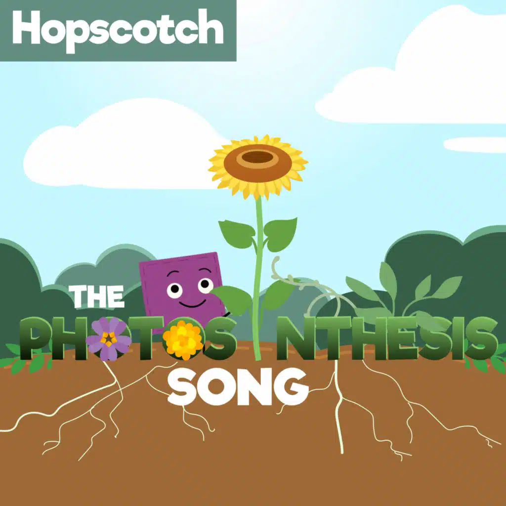 The Photosynthesis Song