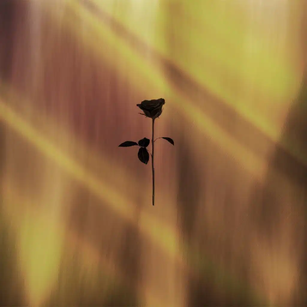 Opposite Ways & Stjepanek