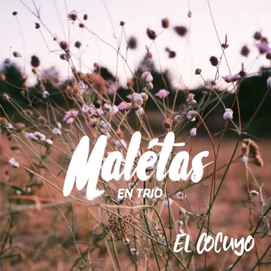 El Cocuyo