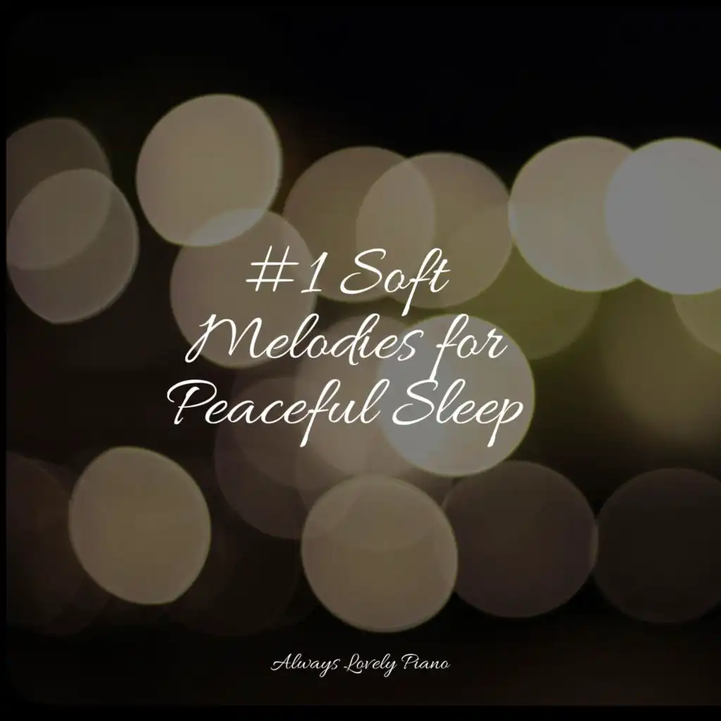 #1 Soft Melodies for Peaceful Sleep