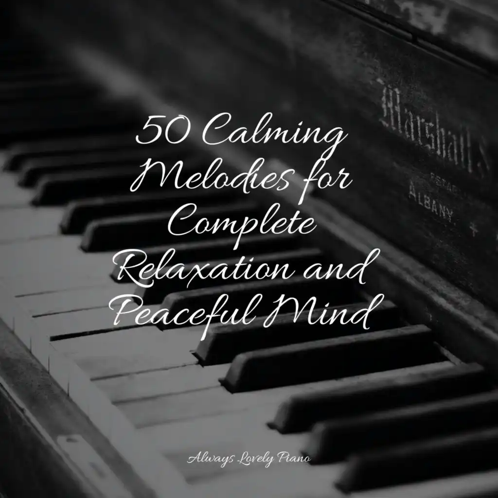 25 Calming Melodies for Complete Relaxation and Peaceful Mind