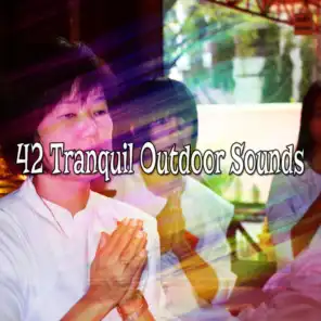 42 Tranquil Outdoor Sounds