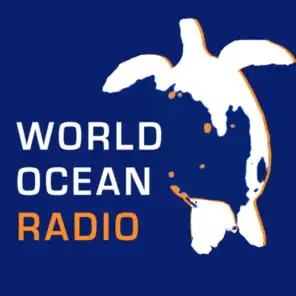 Peter Neill, World Ocean Observatory