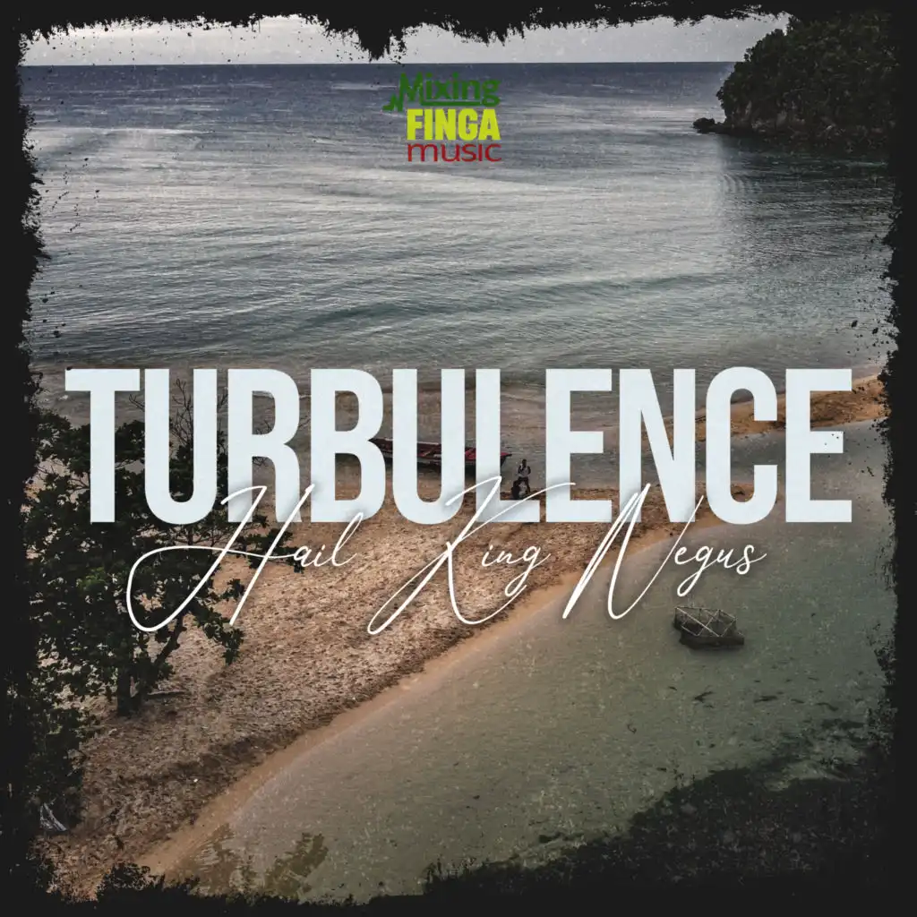 Turbulence & Mixing Finga