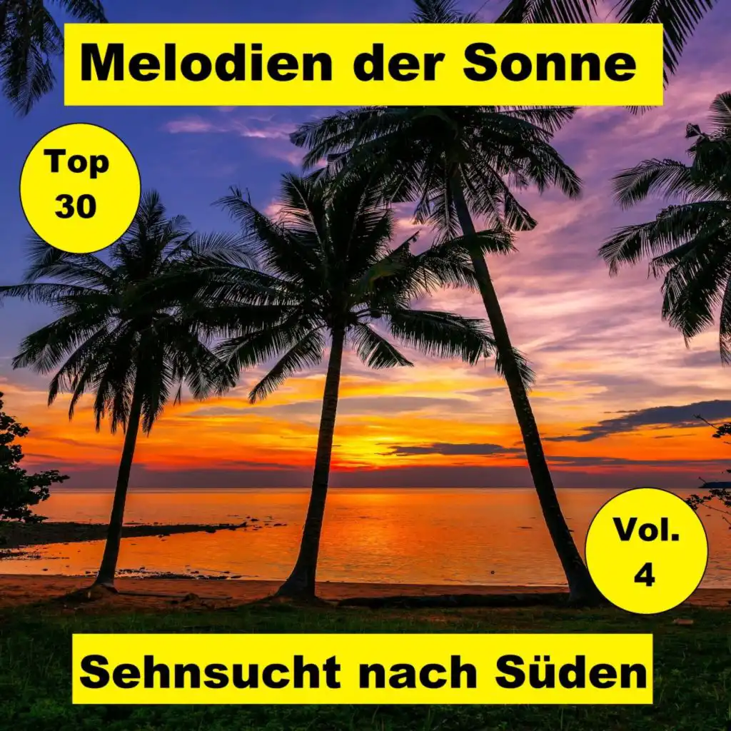 Top 30: Melodien der Sonne - Sehnsucht nach Süden, Vol. 4