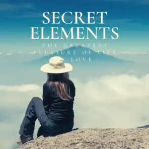 Secret Elements