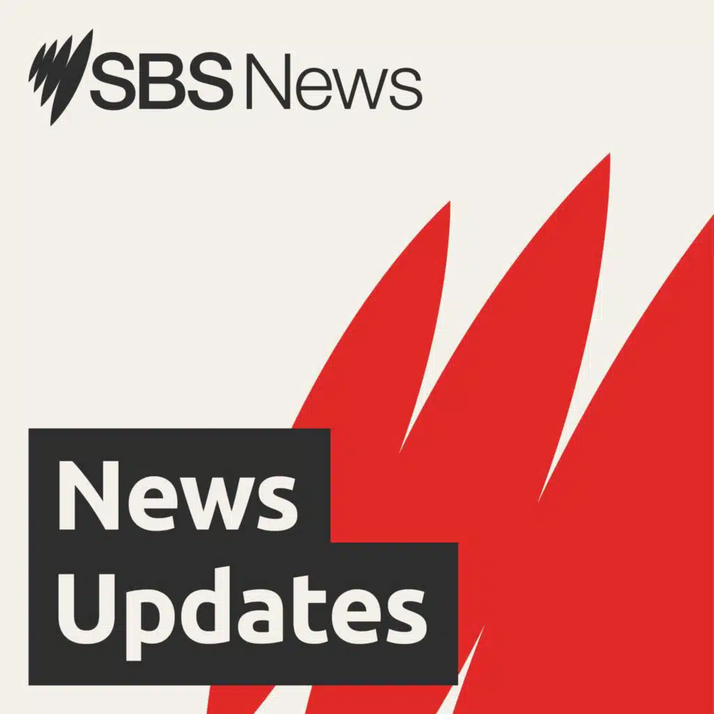 Evening News Bulletin 5 February 2025